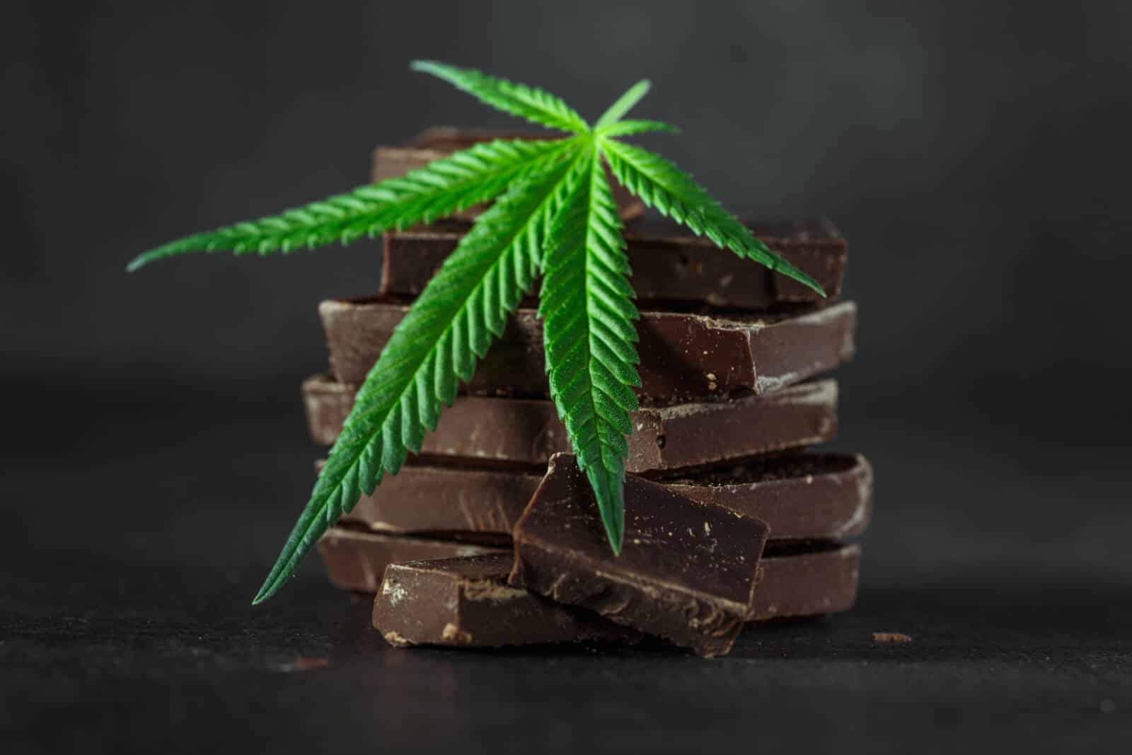 Stack of dark chocolate bars topped with a green hemp leaf on a dark background, representing hemp chocolate as a healthier alternative to traditional edibles.